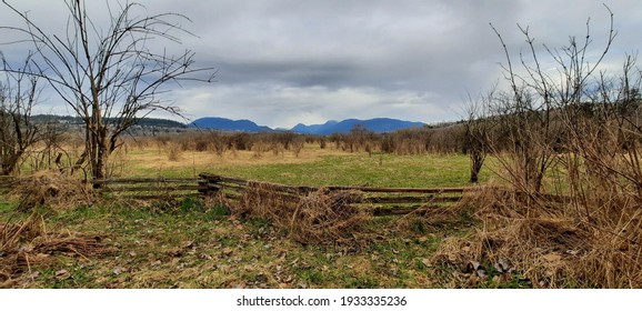 Regional Park In Western Canada