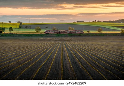 A regional train is running on the ridges of the field at sunset.