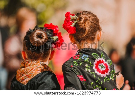 Regional typical dances of Cocentaina