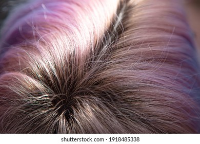 Regrown Dark Hair Roots. Coloring Concept.