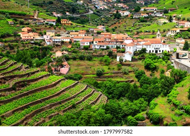 Regua in Douro valley. Portugal vineyard countryside landscape. Alto Douro DOC wine making landscape.