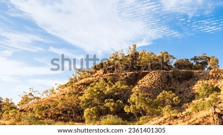Rehabilitated land on an old uranium mine near Mt Isa in North West Queensland, Australia.