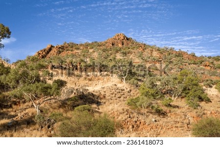 rehabilitated mining land on an abandoned uranium mine in Queensland, Australia.