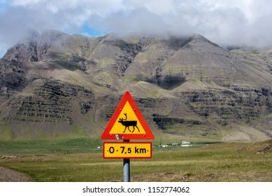 Reindeer on the road warning sign. Iceland