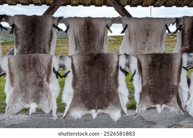 Tienda de piel de reno en Noruega