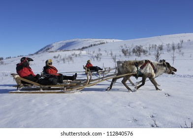 Reindeer Sledding Ecotourism Tour, Sweden.