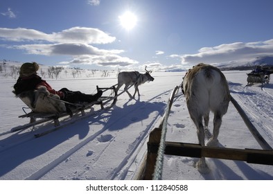 Reindeer Sledding Ecotourism Tour, Sweden.