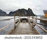 reine, aurora borealis, green, aurora, arctic, hamnoy, lofoten winter, aurora lights, aurora polaris, amazing, adventure, fisherman, red cabins, architecture, scandinavia, ocean, water, island, nordic