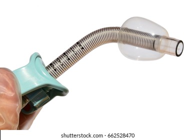 Reinforced Fenestrated Tracheostomy Tube With Inflated Cuff Held In Left Hand Of Doctor In Latex Glove, White Background