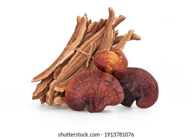 Reishi or lingzhi Mushroom isolated on white background with clipping path.