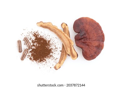 Reishi or lingzhi mushroom isolated on white background.top view,flat lay.