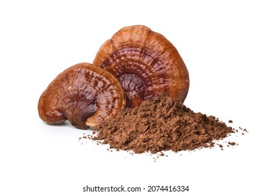 Reishi Mushroom (Lingzhi) Powder Isolated On White Background.