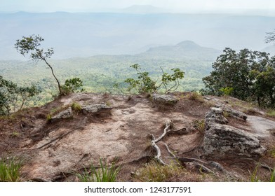 Relax Tourism Travel on Rock Field Outdoor Vacation Concept, Dry Forest Mountains View with Blue Sky and White Cloud, Trekking Rocky on Green Hill, Beautiful Die Tree Nature Landscape Background Scene