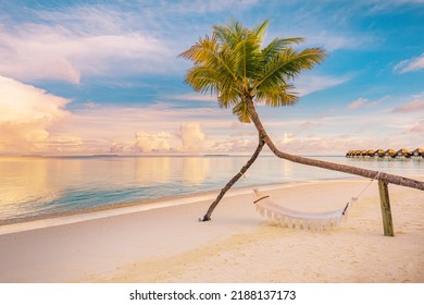 Relax vacation leisure lifestyle on exotic tropical island beach, palm tree hammock hanging calm sea. Paradise beach landscape, water villas, sunrise sky clouds amazing reflections. Beautiful nature
