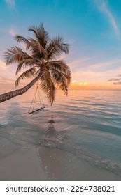 Relax vacation leisure lifestyle on exotic tropical island beach, palm tree hammock hanging calm sea. Paradise beach landscape, water villas, sunrise sky clouds amazing reflections. Beautiful nature
