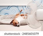 Relaxed dog lying in front of fan with legs in the air. Cute puppy dog sleeping upside down in dog bed. Keeping cat, dogs and pets cool in summer or heat waves. Female Harrier mix. Selective focus.