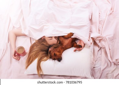 Relaxed Girl in Bed Sleep with your favorite dog                        