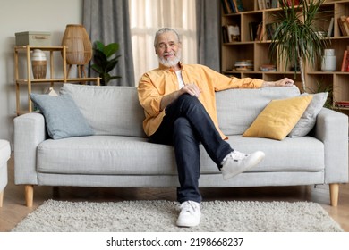 Relaxed Grey-haired Bearded Senior Man In Stylish Casual Outfit Sitting On Grey Couch At Home, Smiling At Camera, Cozy Living Room Interior, Copy Space. Retirement, Seniors Lifestyle Concept