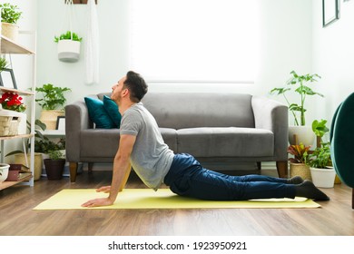 Relaxed latin man doing a cobra yoga pose in the living room. Adult man with a good mental health practicing a yoga routine at home - Powered by Shutterstock