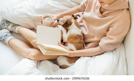 Relaxed morning time in bed . Cozy home weekend with empty note book, cute small napping dog and hot tea. Pink hoodie pajamas. Chilling mood. big warm wool socks. Quarantine. Atmosphere of trust love - Powered by Shutterstock