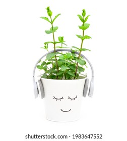 Relaxed Potted Mint Plant Listening To The Music Isolated On White. Creative Stress Relief Concept.