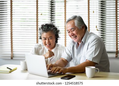 Relaxing Asian Senior Couple Having Fun With Laptop Computer Together At Their Apartment. Online Shopping, Retirement.