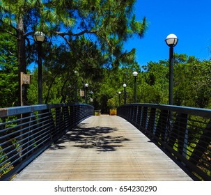 Florida Botanical Garden Images Stock Photos Vectors Shutterstock