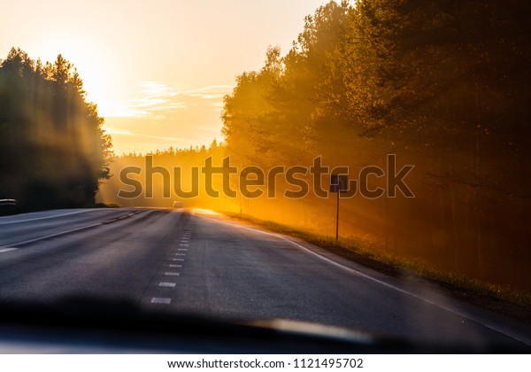 Relaxing car\
trip along a local forest at\
daybreak