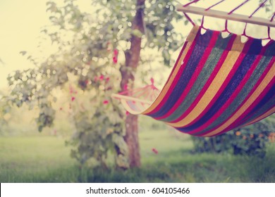 Relaxing In The Hammock In The Summer Garden