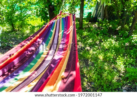 relaxing in the hammock in the summer garden