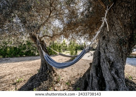 Similar – Empty textile hammock