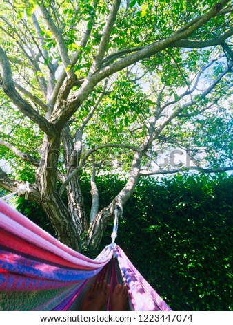 Relaxing Hippie Style Hammock with feets and trees.