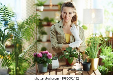 Relaxing home gardening. Portrait of smiling young woman in white rubber gloves with potted plant do gardening in the modern living room in sunny day. - Powered by Shutterstock