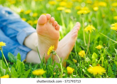 Relaxing Lying In A Meadow In Summer Sunshine