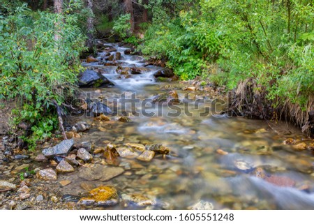 Relaxing mountain stream flows over rocks and through a forest near Breckenridge, Colorado.
