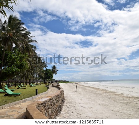 Relaxing on summer vacation at indian ocean, coconutpalm trees, white sand on the beach	