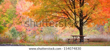 Relaxing picnic table in the park in autumn time