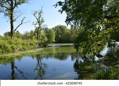 Relaxing In Prospect Park!