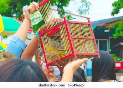 To release birds to make merit