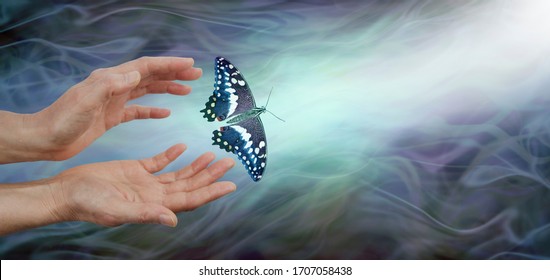 Releasing a butterfly into the light  - soul release metaphor - female hands appearing to let go of a butterfly on a blue green energy flowing background with lift shaft in right corner and copy space