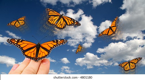 1,465 Butterfly release Images, Stock Photos & Vectors | Shutterstock