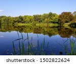Relection of the trees in the lake during summer at Bellevue State Park, Wilmington, Delaware, U.S.A