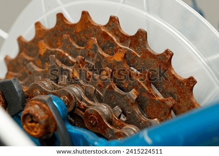The relentless grip of rust on bicycle gears and chain