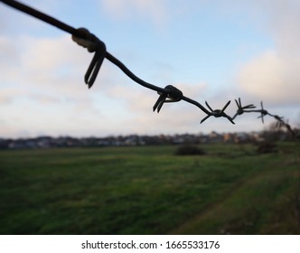 Reliable And Cheap Barbed Tape Wire