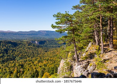 A relict pine tree grows on the edge of the mountain plateau in mountain - Shutterstock ID 1857675646