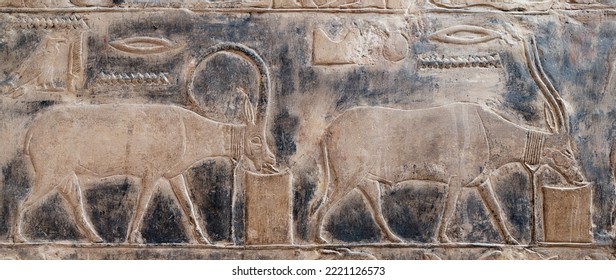 Reliefs From The Tomb Of Mereruka At Saqqara . Old Kingdom .Egypt .