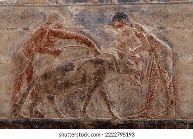 Reliefs From The Tomb Of Mereruka Showing Feeding Of A Hyena At Saqqara . Old Kingdom .Egypt .