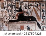 Reliefs at the tomb of Queen Nefertari shows god Anubis . Valley of queens .Luxor .Egypt .