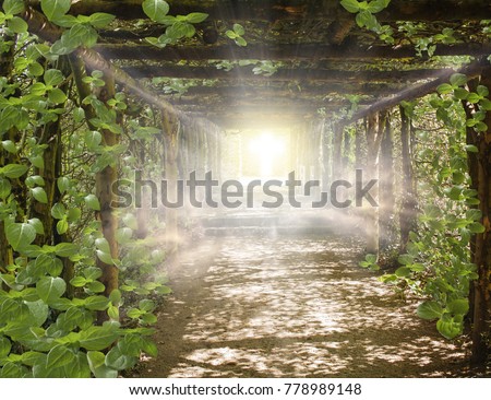  Religion background . Paradise heaven . Light in sky . Way to Go . Cosmic healing energy .  Light at the end of a tunnel  .  Journey of the Soul  . God's cross . Bible 