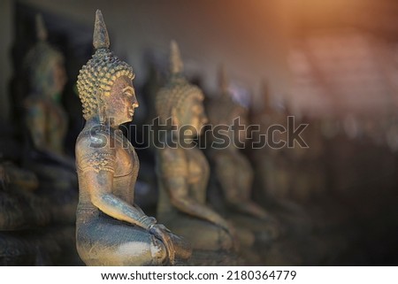 religious background of statue buddha with soft light in
buddhist park